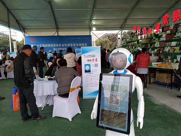 208508112114897805.jpg 208508112114897805.jpg